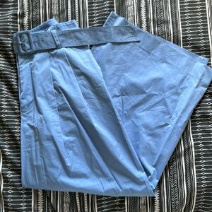 Zara Super Wide Leg Belted Pants